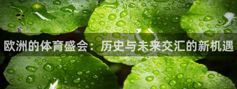 熊猫体育app官网入口