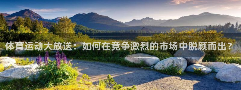 熊猫体育官网首页入口
