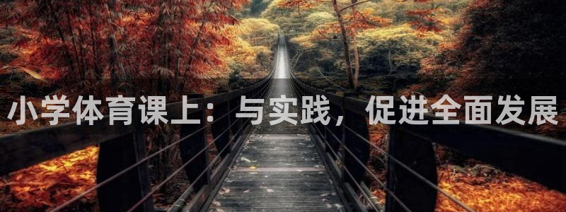 成都金熊猫体育
