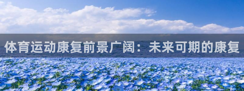 熊猫体育平台