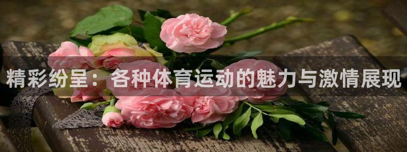 熊猫体育官网首页入口