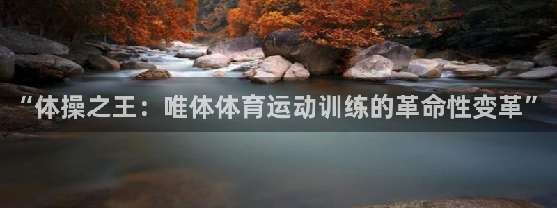 熊猫体育文化有限公司