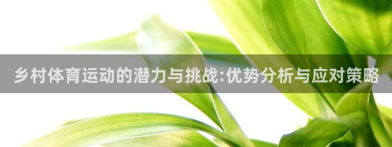 熊猫体育app官网入口