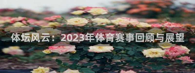 熊猫体育免费下载：体坛风云：2023年体育赛事回顾与展望