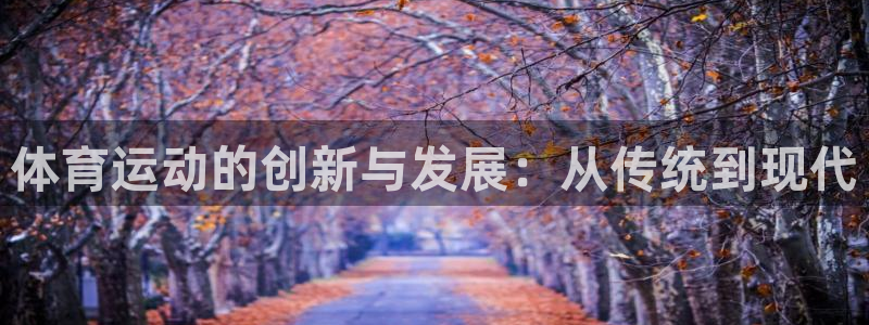 成都金熊猫体育：体育运动的创新与发展：从传统到现代