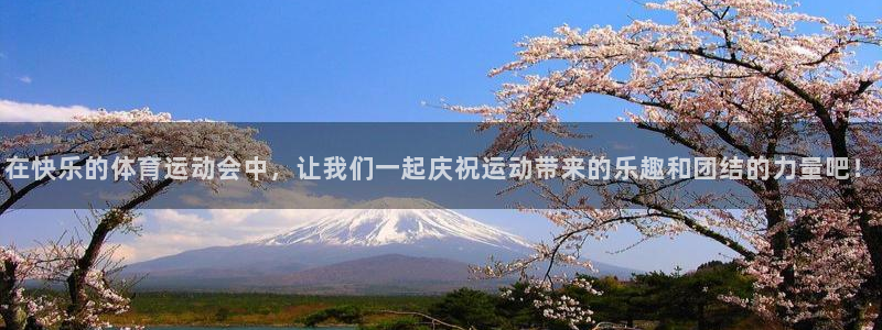 熊猫体育公园价格