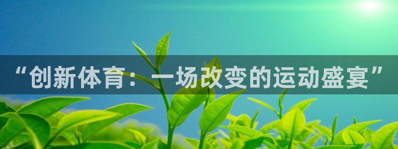 熊猫体育公园价格：“创新体育：一场改变的运动盛宴”