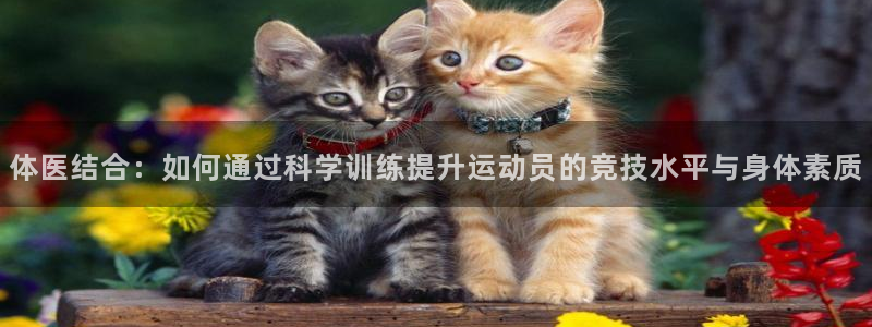 熊猫体育官网首页入口