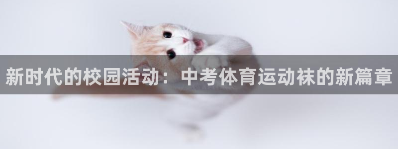 熊猫体育公园价格