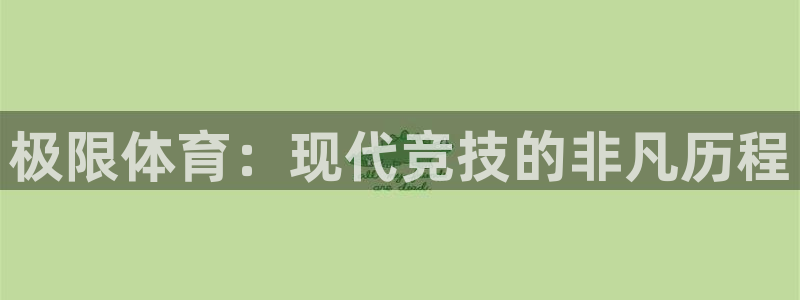 熊猫体育v3.新网页.org